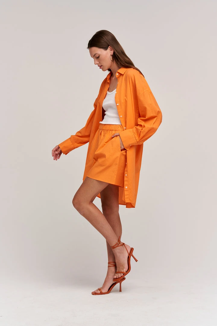 Velvet By Graham & Spencer ADDISON SHIRT DRESS 12 Velvet By Graham & Spencer ADDISON SHIRT DRESS