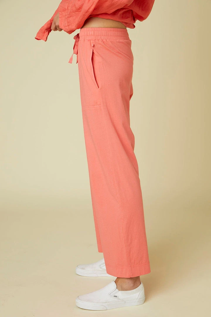 Velvet By Jenny Graham Womens PISMO PANT 12 Velvet By Jenny Graham Womens PISMO PANT