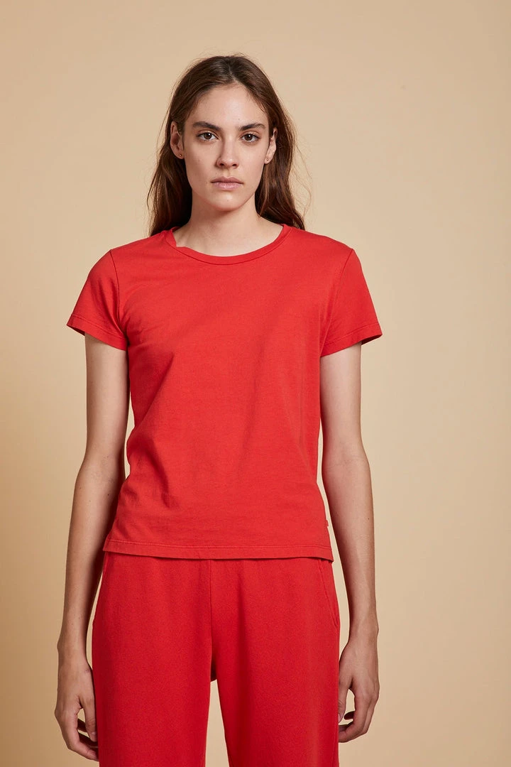 Velvet By Jenny Graham WIGTOWN TEE Womens 18 Velvet By Jenny Graham WIGTOWN TEE Womens