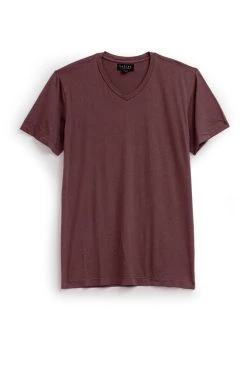 Velvet By Graham & Spencer SAMSEN WHISPER CLASSIC V-NECK TEE Mens