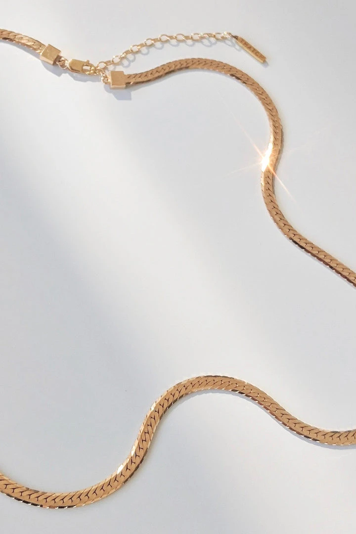 DANI GOLD HERRINGBONE CHAIN BY THATCH Womens 2 DANI GOLD HERRINGBONE CHAIN BY THATCH Womens