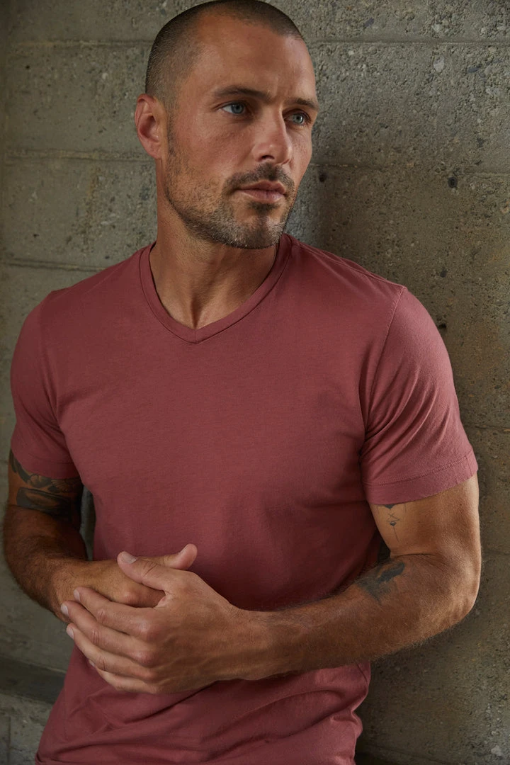 Velvet By Graham & Spencer SAMSEN WHISPER CLASSIC V-NECK TEE 9 Velvet By Graham & Spencer SAMSEN WHISPER CLASSIC V-NECK TEE