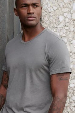 Velvet By Graham & Spencer SAMSEN WHISPER CLASSIC V-NECK TEE Mens