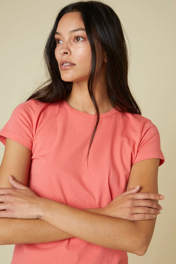 Velvet By Jenny Graham WIGTOWN TEE Womens 6 Velvet By Jenny Graham WIGTOWN TEE Womens